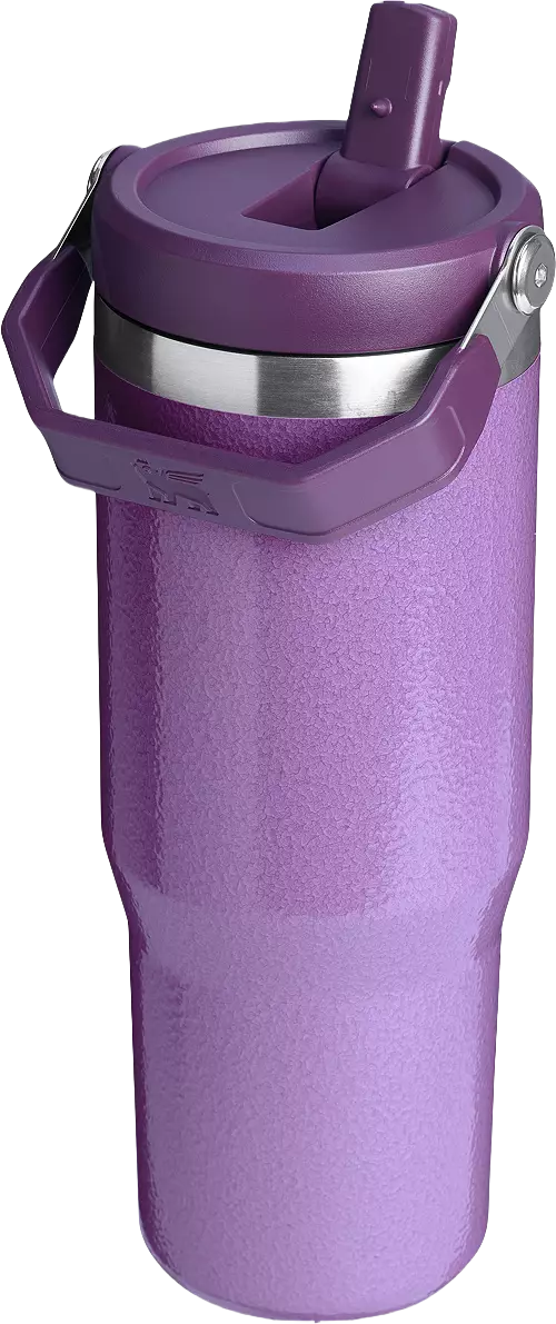 Stanley 30 oz. IceFlow Flip Straw Tumbler
