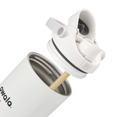 Owala 30oz FreeSip Sway  Fairways for Days