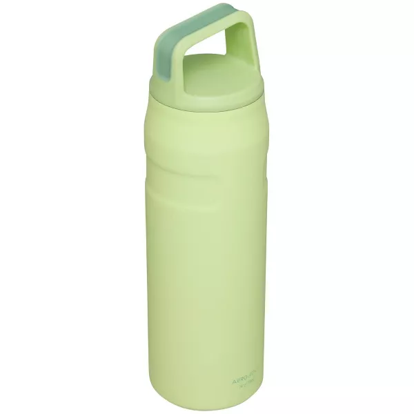 Stanley 24oz Stainless Steel IceFlow Aerolight Water Bottle Cap and Carry